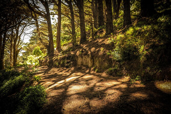 Wellington's Original HD LOTR Experience - includes Weta Tour - Is the $108.60 price good value?