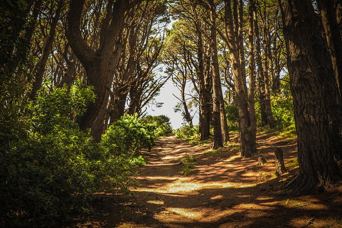 Wellington's Original HD LOTR Experience - includes Weta Tour - Who should book it?
