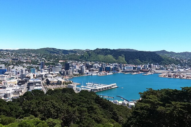 Wellington's Original LOTR Experience - includes Weta and Lunch - Mount Victoria combines city views with a famous forest scene