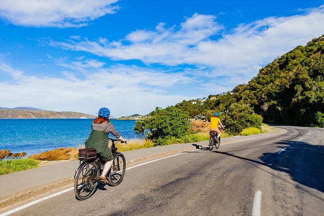 Wellington Self-Guided Electric Bike Tour - Mount Victoria rewards the Turbo setting