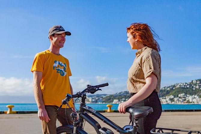 Wellington Self-Guided Electric Bike Tour - Scorching Bay is the best picnic option