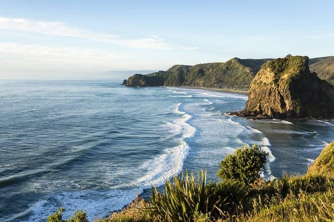 West Coast Discovery - Piha Beach or Muriwai Beach from Auckland - Key points to know before booking