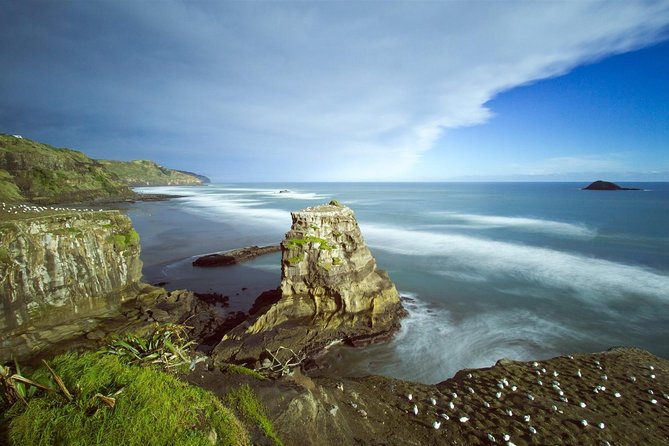 West Coast Discovery - Piha Beach or Muriwai Beach from Auckland - Is $123.49 a fair price?