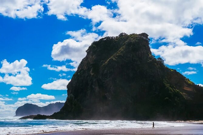 West Coast Discovery Piha Beach Private Tour - Who will get the most from this six-hour tour
