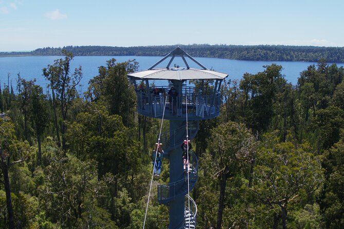 West Coast Tower Zipline & Treetop Walk Combo - Key points at a glance