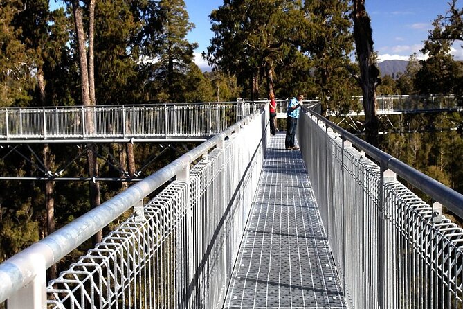 West Coast Tower Zipline & Treetop Walk Combo - Ruatapu gives you a forest experience, not just a zipline