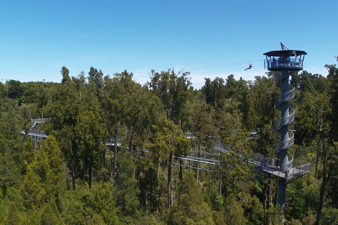 West Coast Tower Zipline & Treetop Walk Combo - Climbing the 106-step spiral tower