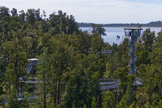 West Coast Tower Zipline & Treetop Walk Combo - The tandem flight through the Rimu canopy