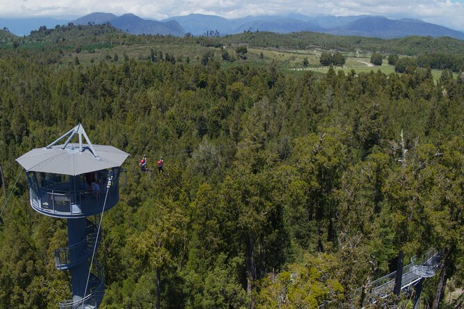 West Coast Tower Zipline & Treetop Walk Combo - How the $74.47 price stacks up