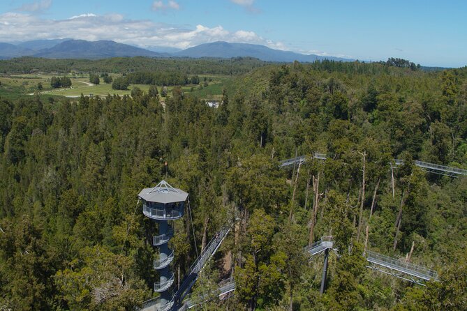 West Coast Tower Zipline & Treetop Walk Combo - Who will enjoy this most