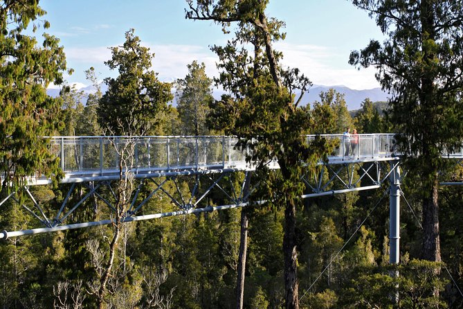 West Coast Treetop Walk - West Coast Treetop Walk at a glance