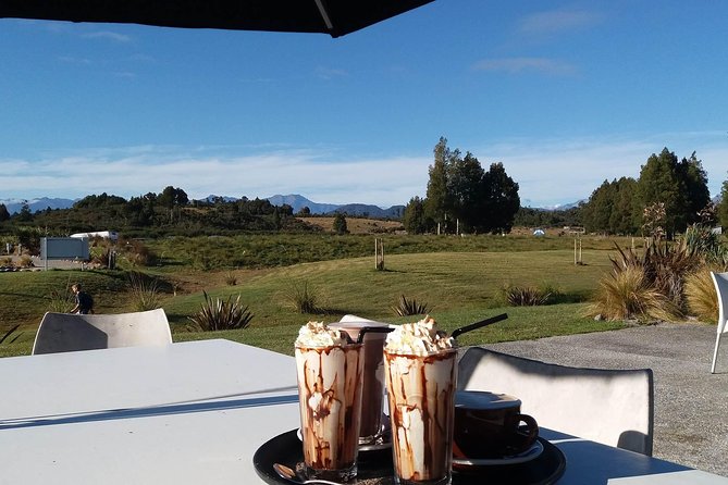 West Coast Treetop Walk - What the café adds to the visit