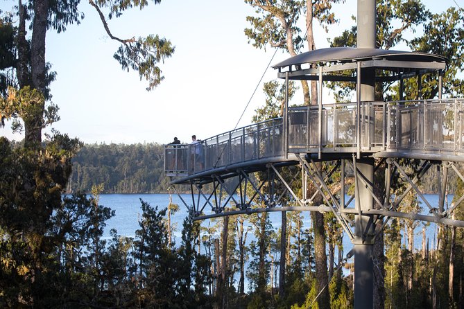 West Coast Treetop Walk - Is $24.20 good value?