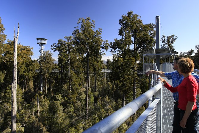 West Coast Treetop Walk - A 450-meter route through rimu and kamahi
