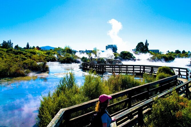Whaka Geothermal Trails Self-Guided Tour - The geothermal features and geyser view