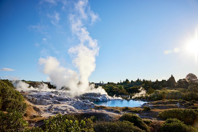 Whaka Trails and Maori Village Combo Tour - Why Whakarewarewa feels different from a standard geothermal park