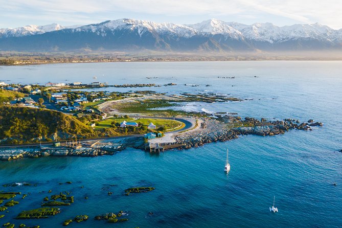 Whale Watching in Kaikoura by Boat - Seasickness Is the Real Practical Issue