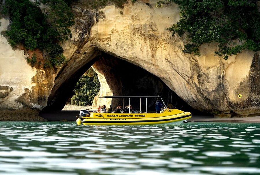 Whitianga: 2-Hour Cathedral Cove and Volcanic Coast Cruise - Is $83 good value for two hours?