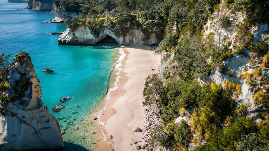Whitianga: 2-Hour Cathedral Cove and Volcanic Coast Cruise - Entering caves and reading the volcanic coast
