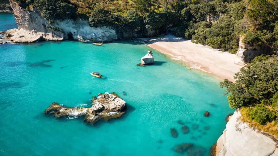Whitianga: 2-Hour Cathedral Cove and Volcanic Coast Cruise - Wildlife: a welcome bonus, not the reason to book