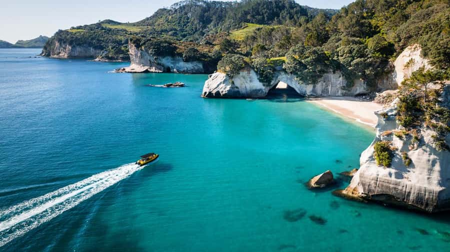 Whitianga: 2-Hour Cathedral Cove and Volcanic Coast Cruise - How the guide shapes the experience