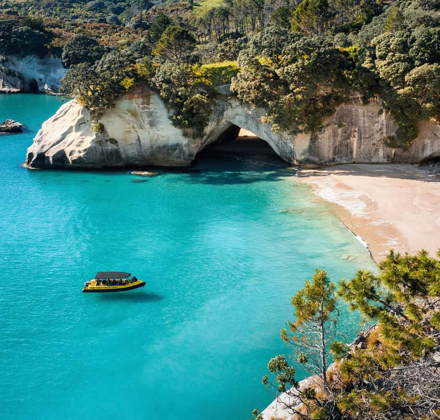 Whitianga: 2-Hour Cathedral Cove and Volcanic Coast Cruise - Comfort, weather, and what to bring