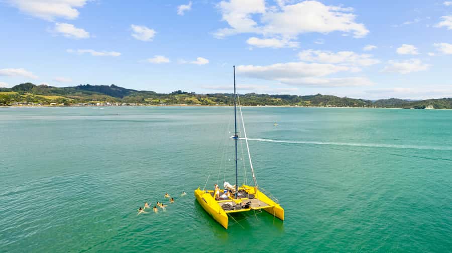 Whitianga: Sailing Trip to Cathedral Cove - Sailing the catamaran, your choice of pace