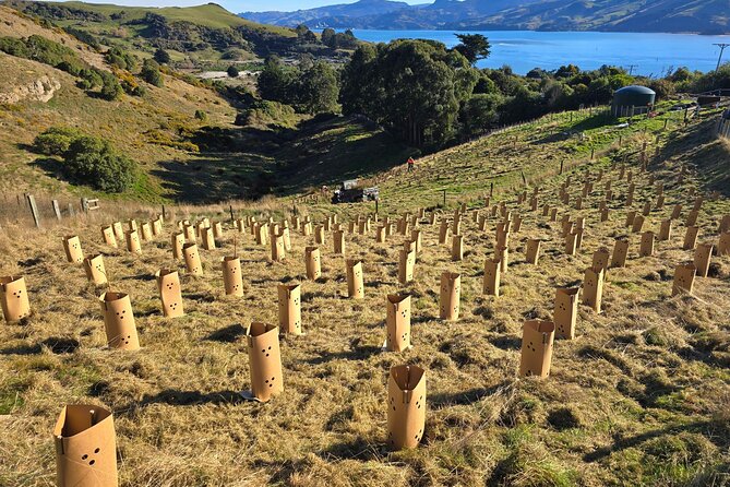 Wildlife and Penguin Tour - Is the $46.54 price good value?