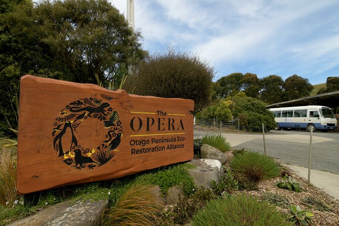 Wildlife and Penguin Tour - The rehabilitation centre offers the closest look