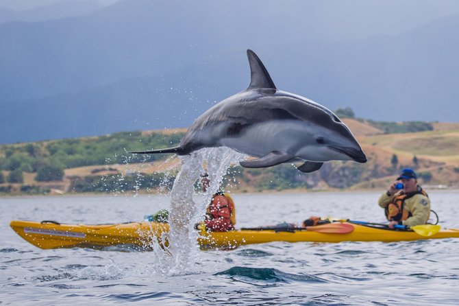 Wildlife Sea Kayaking Tour - Kaikoura - Paddling beside the Kaikoura Peninsula