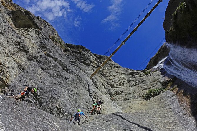 Wildwire Wanaka- Level 2 (4 Hours) - Who should book Level 2