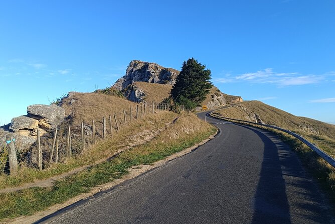 Wine & Sightseeing Cruise Tour 2.5hr | Award Winning Experience - Te Mata Peak and the Hawke’s Bay view