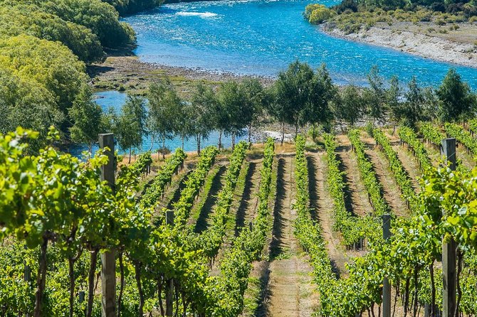 Wine Tour with Wine Tasting from Wanaka - Who should book this experience?