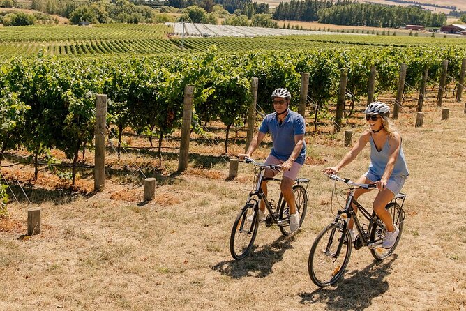 Wine trail and Christchurch City - Luxury, Small Group Tour - Port Hills and the big Canterbury view