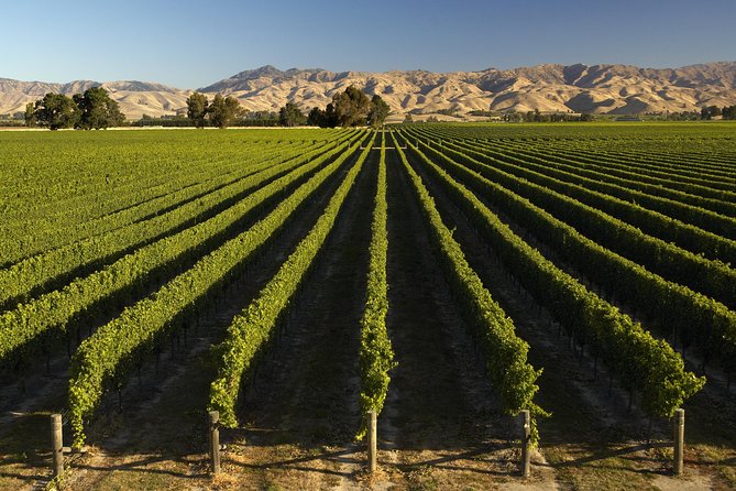 Wine trail and Christchurch City - Luxury, Small Group Tour - Who will get the most from this tour