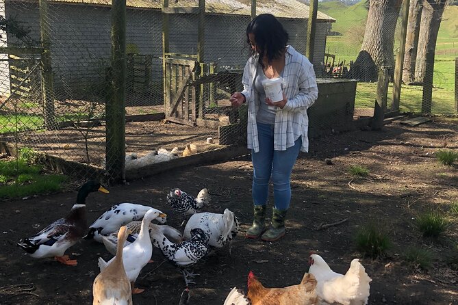 Wool Sheep Farm Experience with Handmade Wool Hat in New Zealand - Meeting Angie at the Ātiamuri farm
