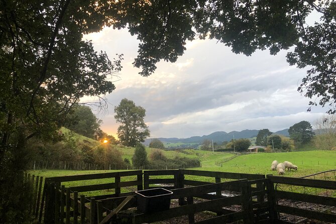 Wool Sheep Farm Experience with Handmade Wool Hat in New Zealand - Why the one-hour length works, and where it feels short