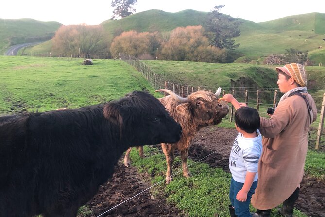 Wool Sheep Farm Experience with Handmade Wool Hat in New Zealand - Is the $31.03 price good value?