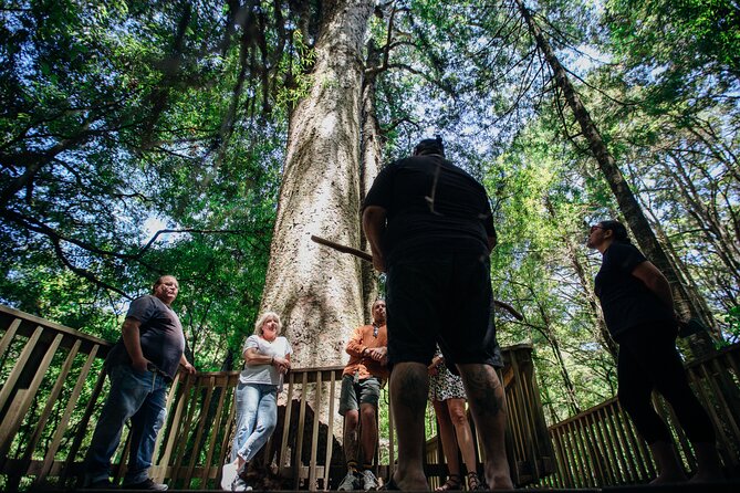 Your Kiwi Cultural Connection with Tu Tika Tours - Food and conversation with a Māori family