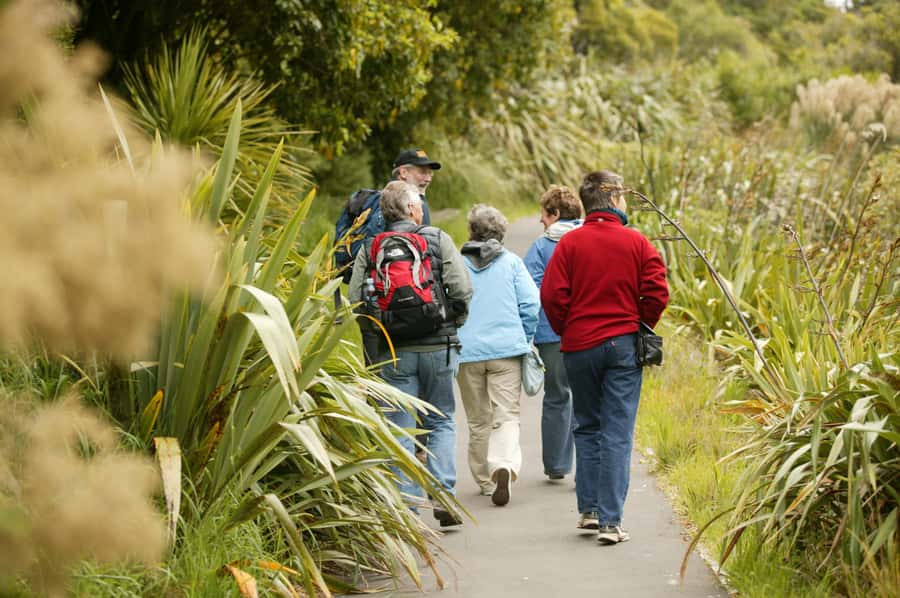 Zealandia by Day Tour - Why Zealandia feels different from an ordinary wildlife visit