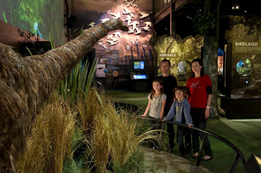 Zealandia by Day Tour - The tuatara moment